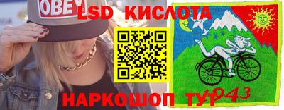 прущие грибы Жуковский