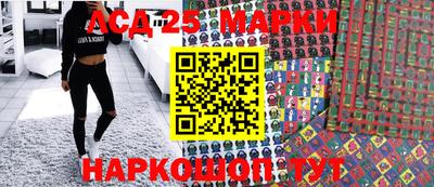гидропоника Дубна