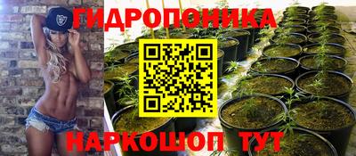 прущие грибы Жуковский
