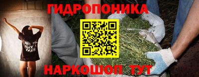 гидропоника Дубна